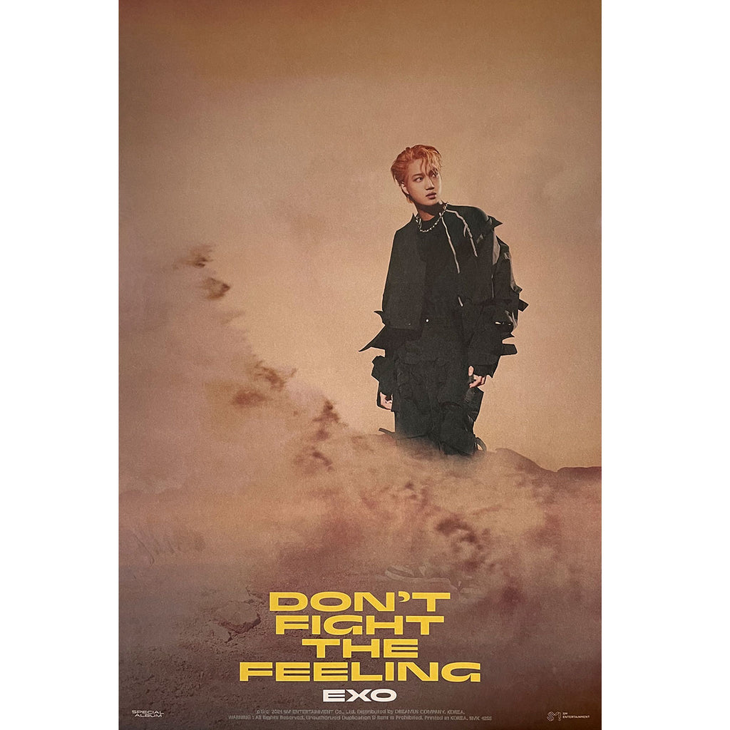 엑소 | EXO | SPECIAL ALBUM [ DON'T FIGHT THE FEELING ] | (PHOTO BOOK VER.1 - KAI VER.) POSTER ONLY