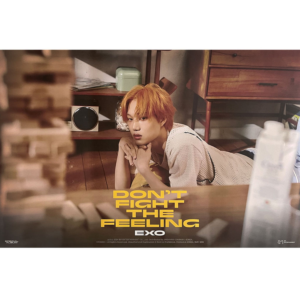 엑소 | EXO | SPECIAL ALBUM [ DON'T FIGHT THE FEELING ] | (EXPANSION - KAI VER.) POSTER ONLY