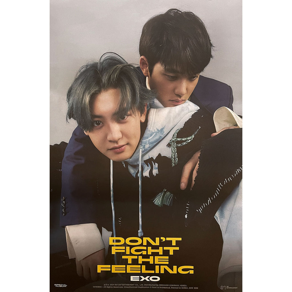 엑소 | EXO | SPECIAL ALBUM [ DON'T FIGHT THE FEELING ] | (EXPANSION - CHANYEOL+D.O VER.) POSTER ONLY