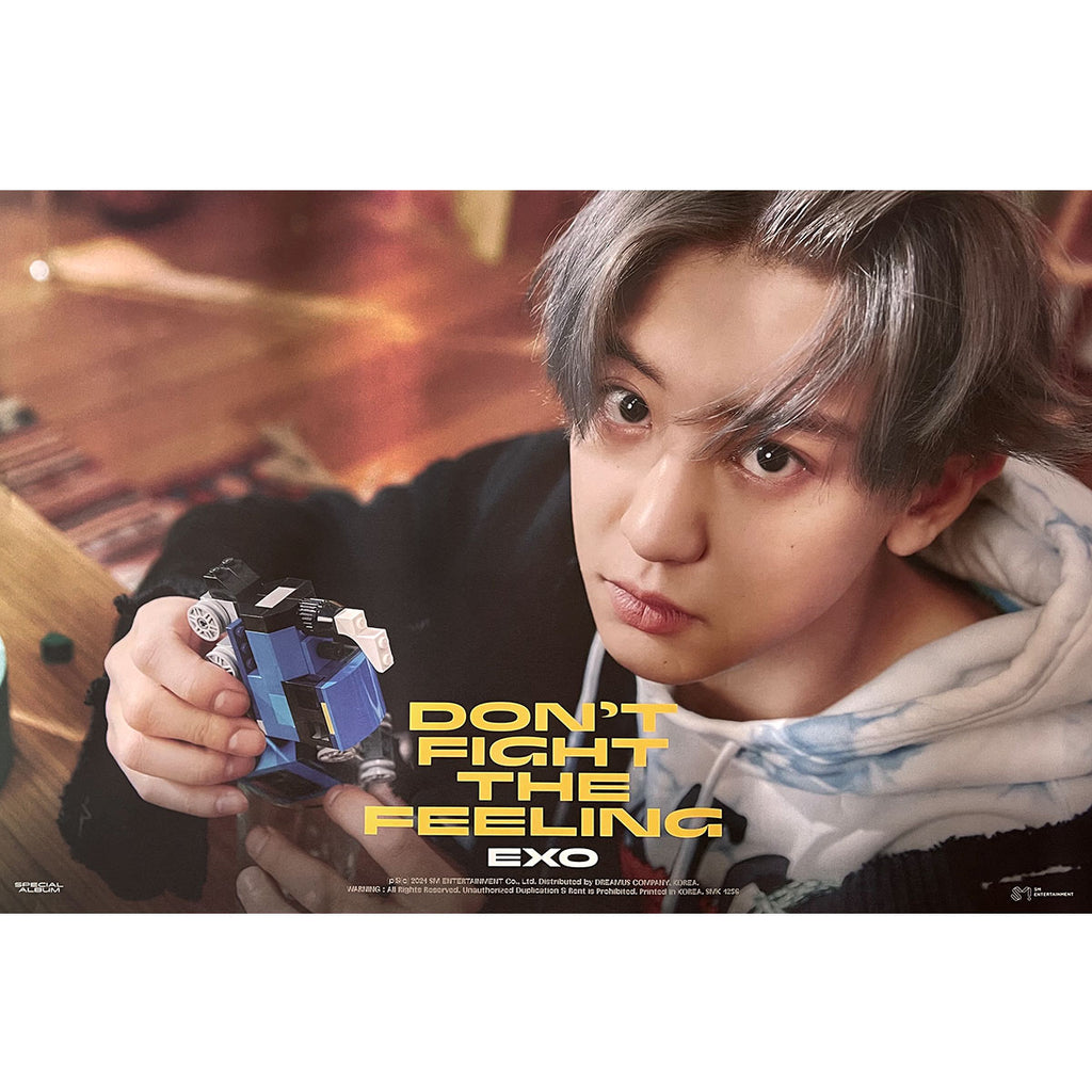 엑소 | EXO | SPECIAL ALBUM [ DON'T FIGHT THE FEELING ] | (EXPANSION - CHANYEOL VER.) POSTER ONLY