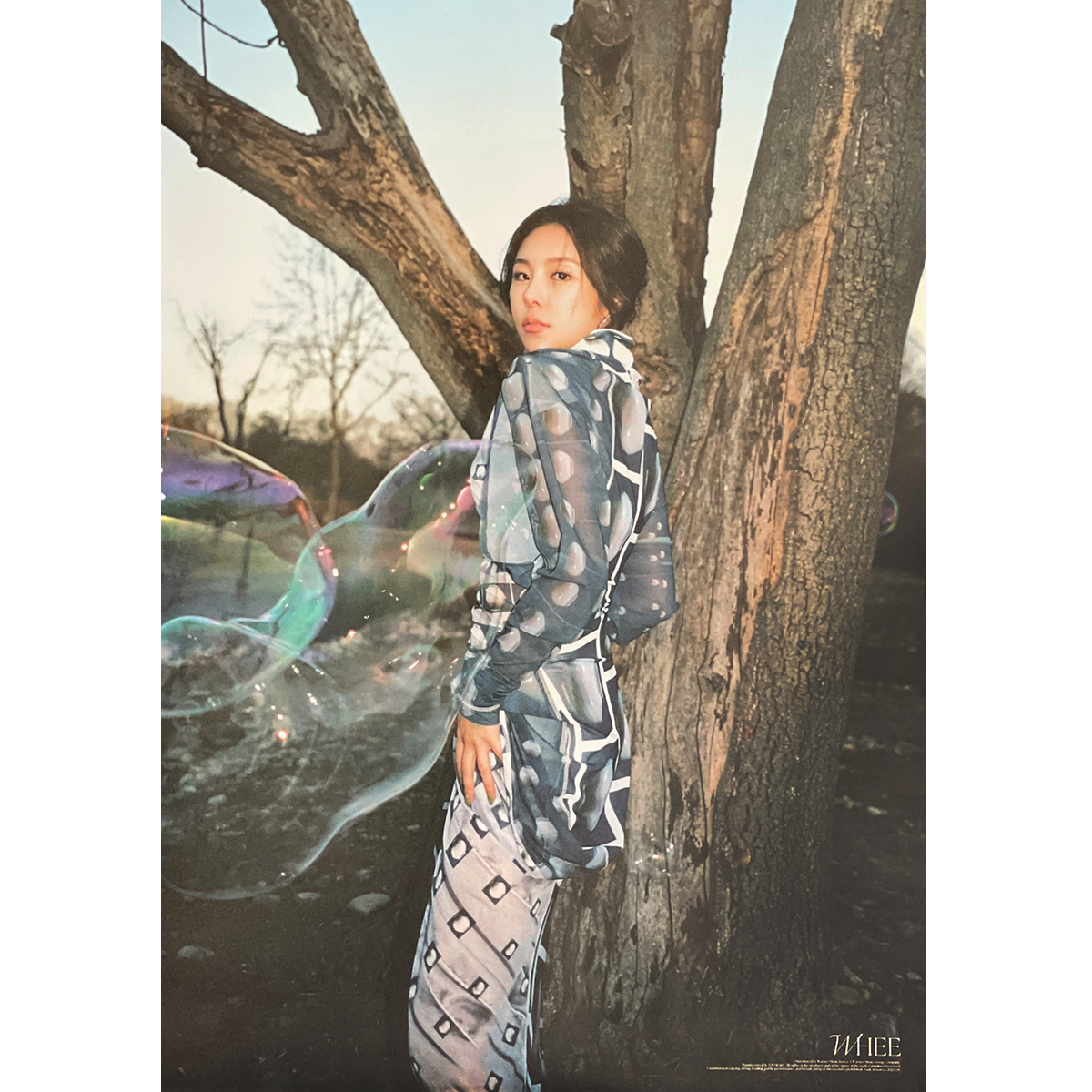 휘인 | WHEE IN | 2ND MINI ALBUM [ WHEE ] | (D VER.) POSTER ONLY