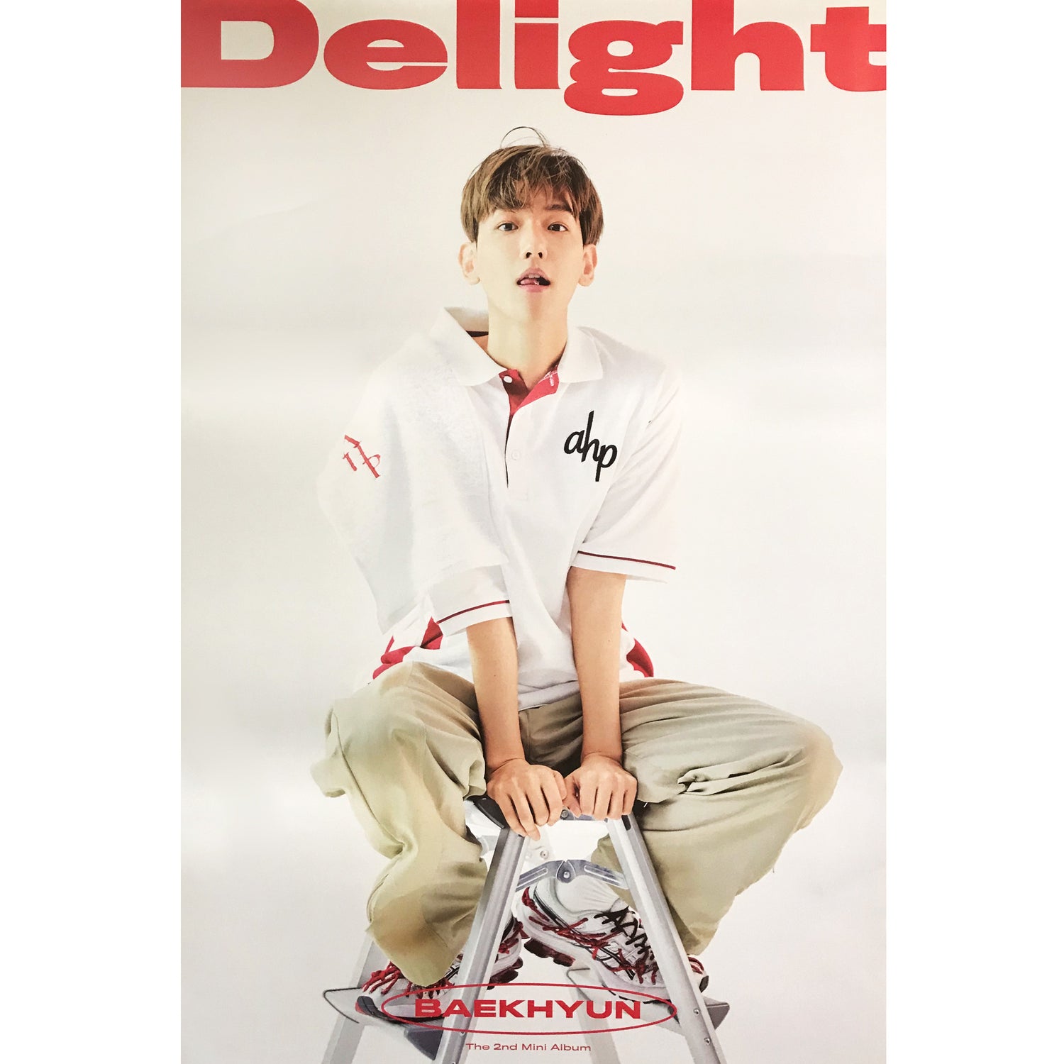 백현 | BAEKHYUN | 2ND MINI ALBUM [ DELIGHT ] | (CHEMISTRY - B VER.) POSTER ONLY