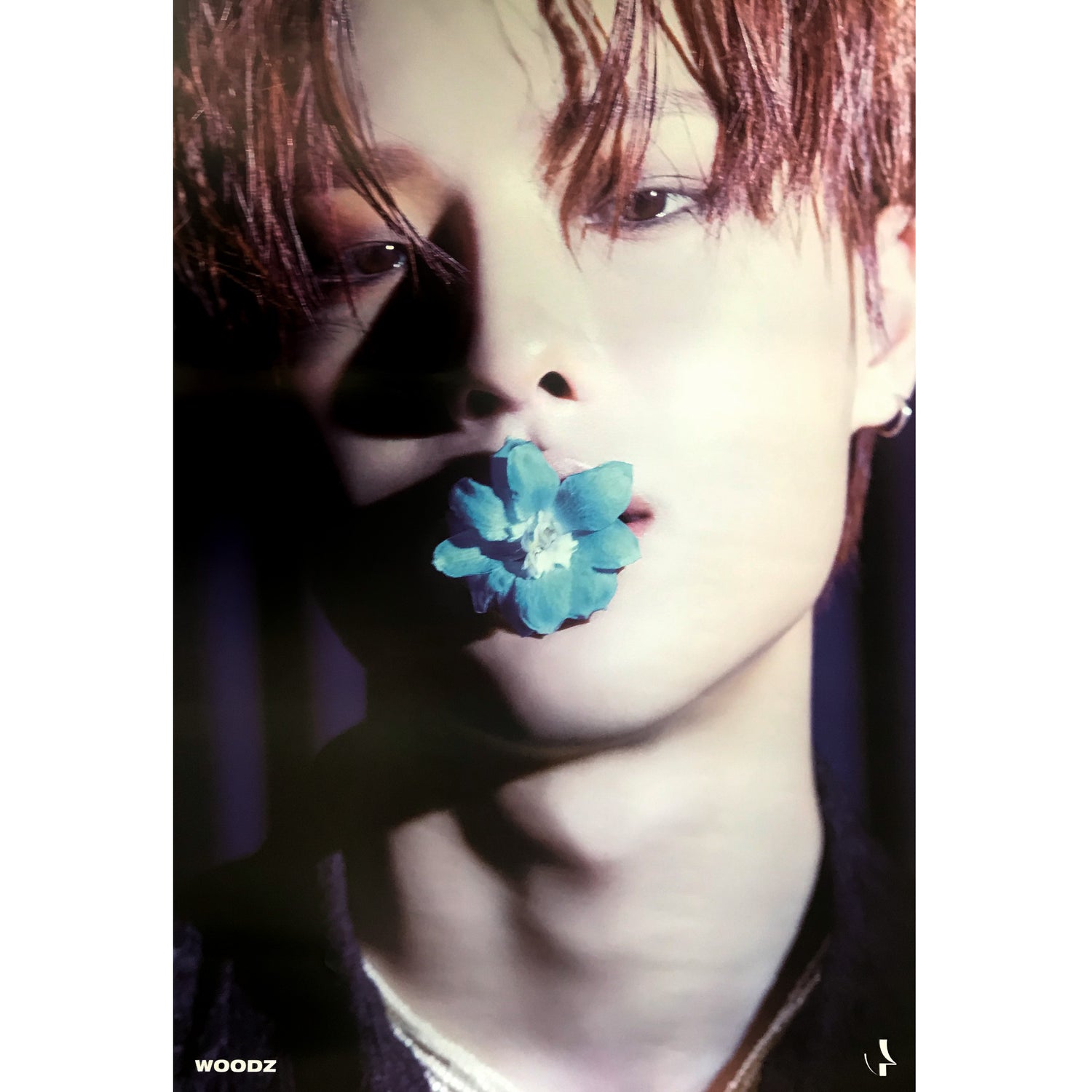 우즈 | WOODZ | 1ST MINI ALBUM [ EQUAL ] | (COSMIC VER.) POSTER ONLY