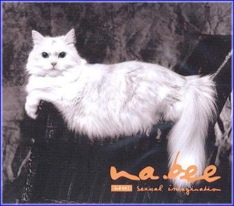 MUSIC PLAZA CD 나비 Nabee | 1집