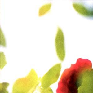 MUSIC PLAZA CD <strong>소규모아카시아밴드 (Sogyumo Acacia Band) | 일곱날들</strong><br/>