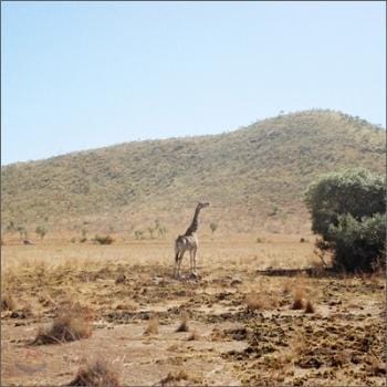 MUSIC PLAZA CD <strong>요조 Yozoh | 우리는 선처럼 가만히 누워</strong><br/>