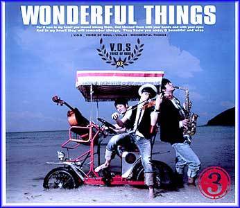 MUSIC PLAZA CD V.O.S. | Vol. 3 - Wonderful Things