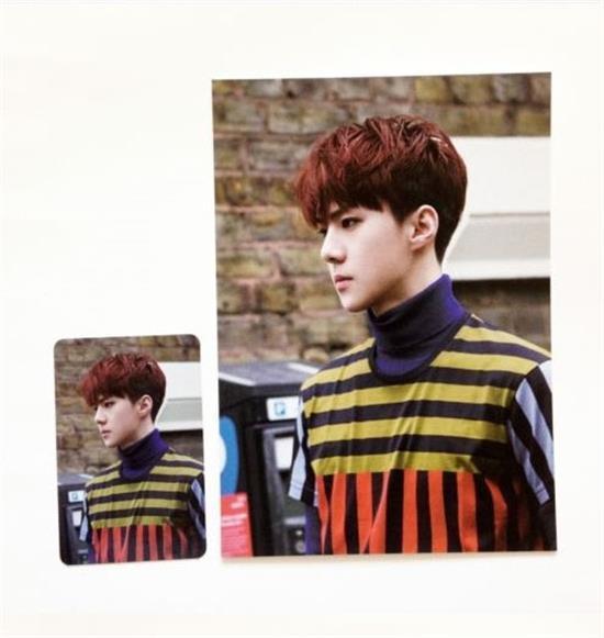 MUSIC PLAZA Goods <strong>세훈 | SEHUN</strong><br/>EXO SMTOWN COEX  OFFICIAL GOODS<br/>PHOTO CARD+POSTCARD SET