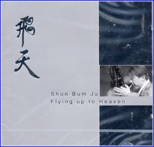 MUSIC PLAZA CD <strong>손범주 Shon, Bumju | 飛天/Flying up to Heaven</strong><br/>