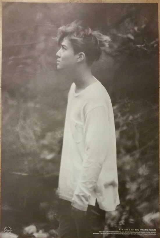 MUSIC PLAZA Poster EXO | 엑소 | 수호 | SUHO EXODUS 24" X 35.5"