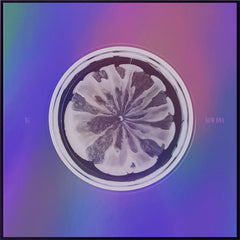 X-VER_240x.jpg?v=1690261886