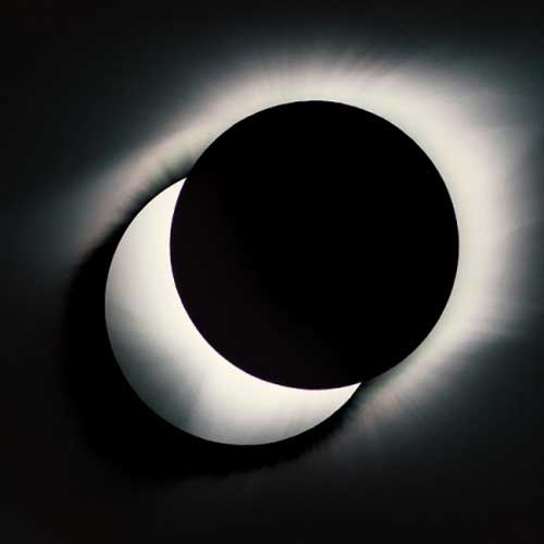 DINGO X DEJAVU GROUP [ WROTE THIS TOMORROW ]