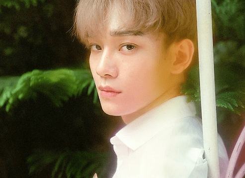 MUSIC PLAZA Poster Chen 엑소 | EXO | 4TH ALBUM - THE WAR /  Kokobop | POSTER ONLY