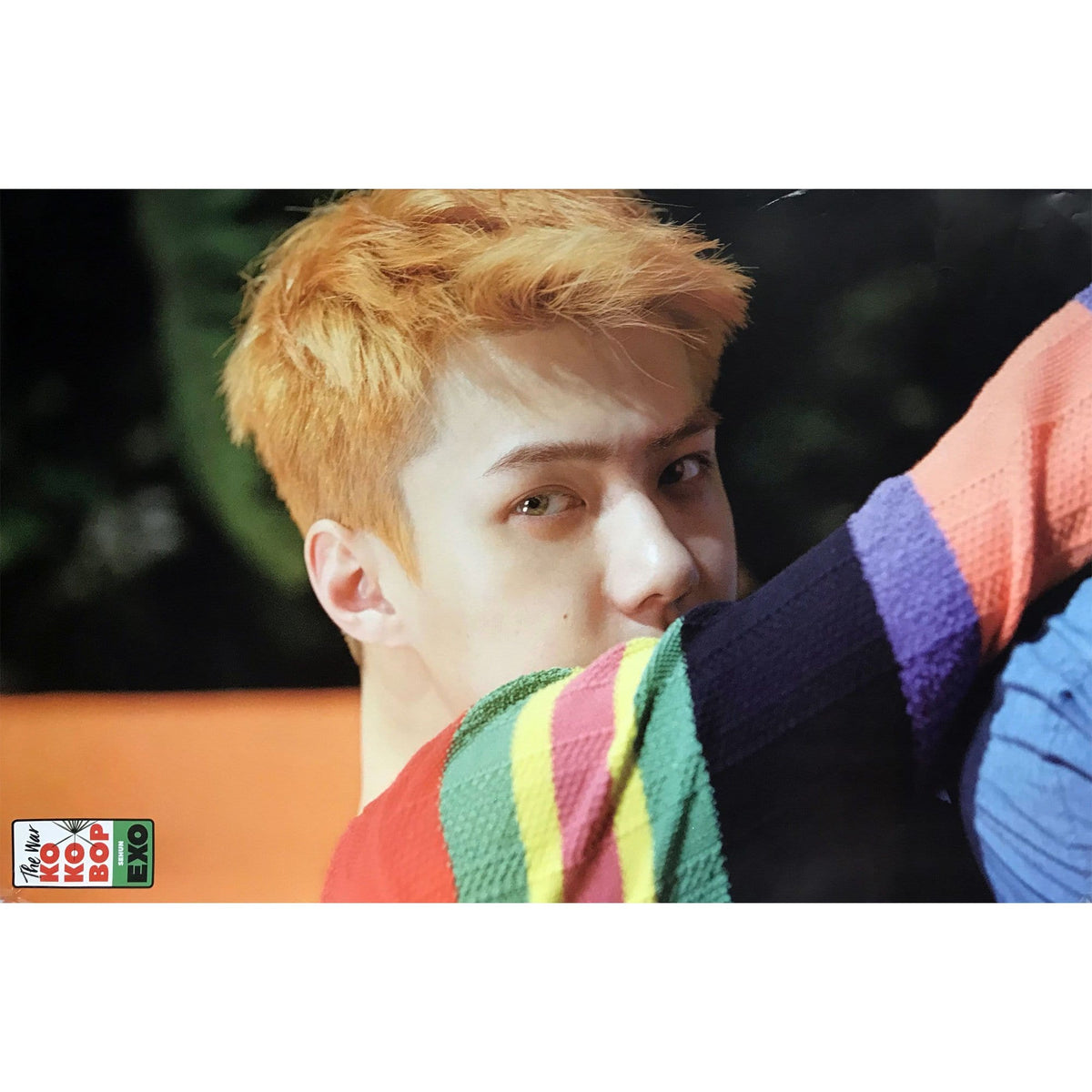 MUSIC PLAZA Poster Sehun 엑소 | EXO | 4TH ALBUM - THE WAR /  Kokobop | POSTER ONLY