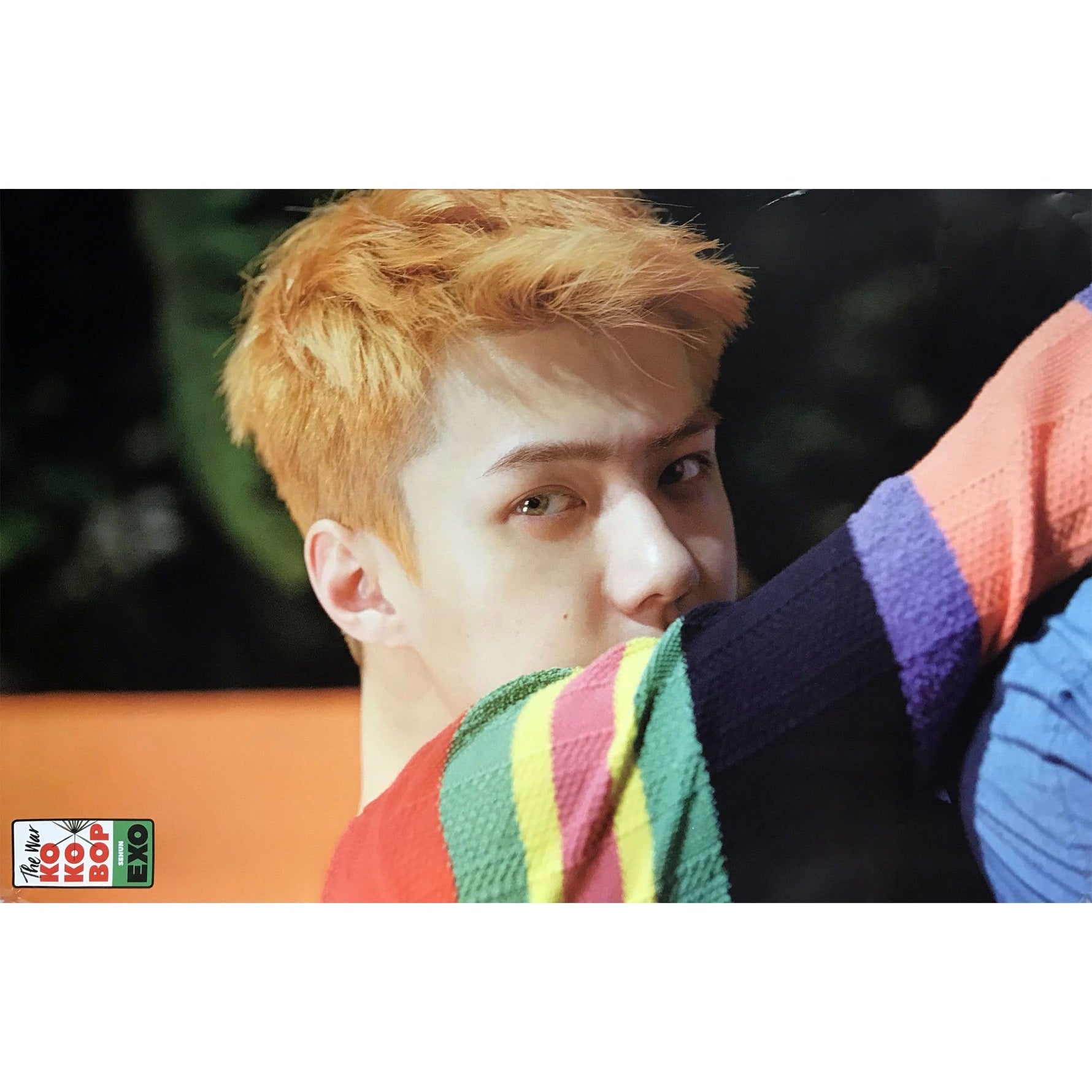 MUSIC PLAZA Poster Sehun 엑소 | EXO | 4TH ALBUM - THE WAR /  Kokobop | POSTER ONLY