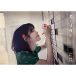 MUSIC PLAZA Poster 아이유 | IU | REMAKE | POSTER