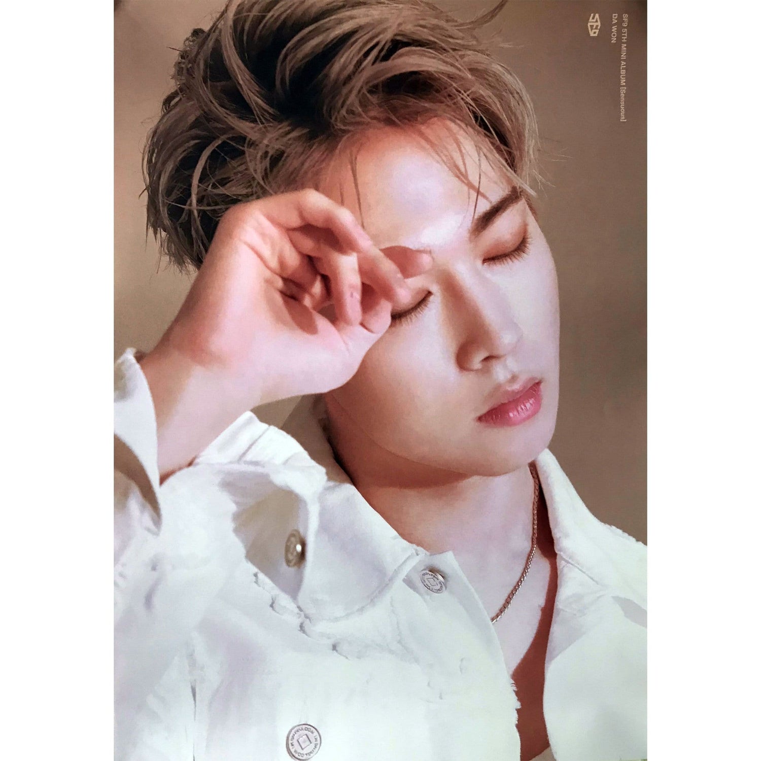 MUSIC PLAZA Poster SF9 | SENSUOUS | Da won | POSTER