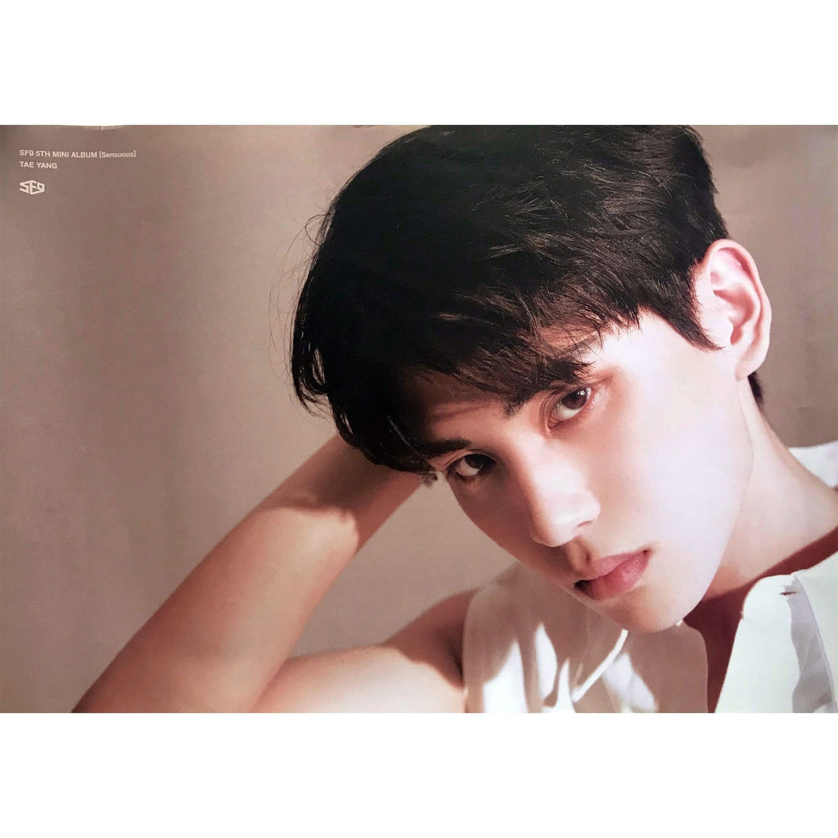 MUSIC PLAZA Poster SF9 | SENSUOUS | Tae Young - POSTER