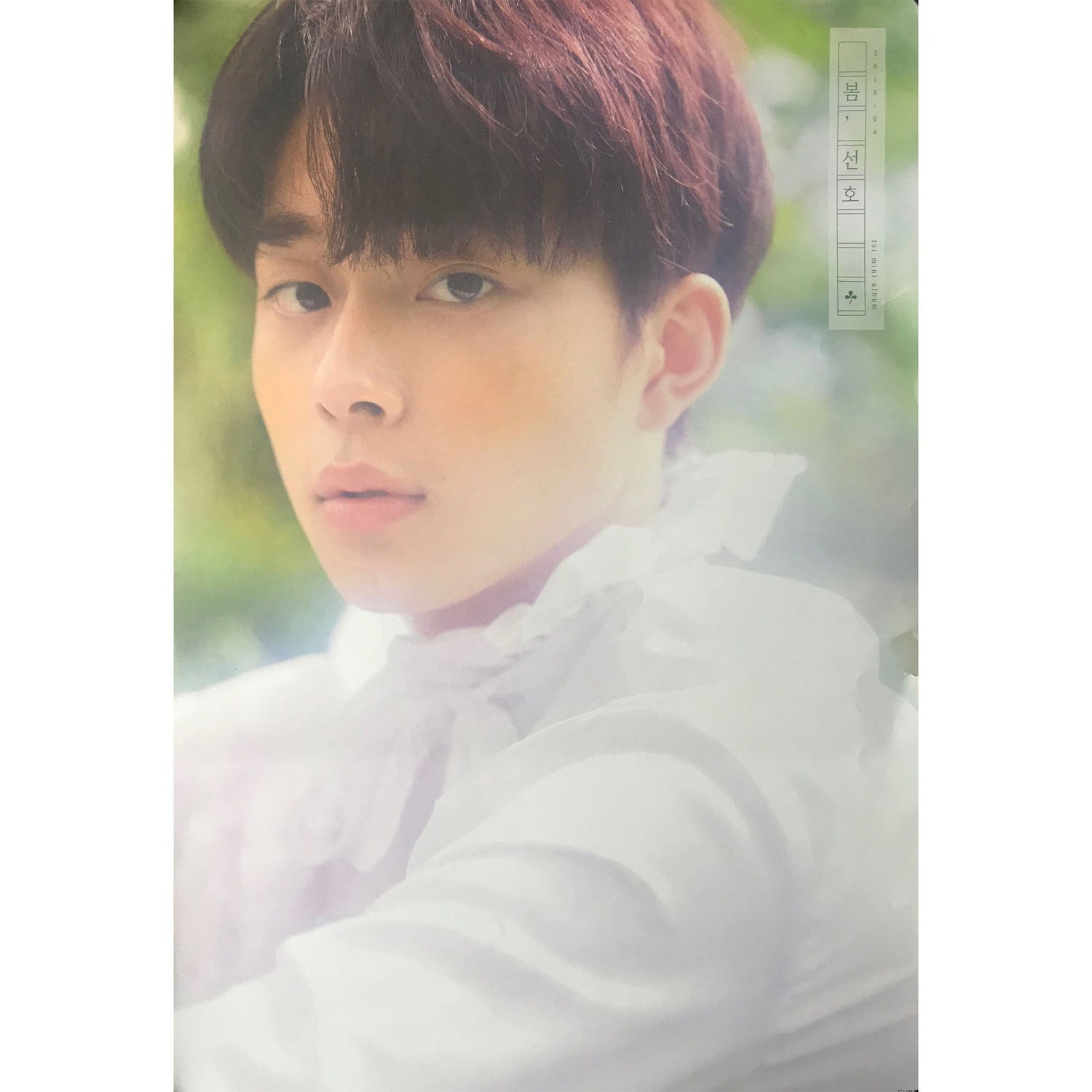 MUSIC PLAZA Poster A version 유선호 | YOO SEON HO | 1 st mini album - SPRING (봄, 선호) | POSTER