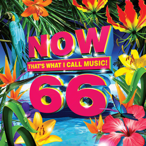 NOW THAT'S WHAT I CALL MUSIC! VOL. 66