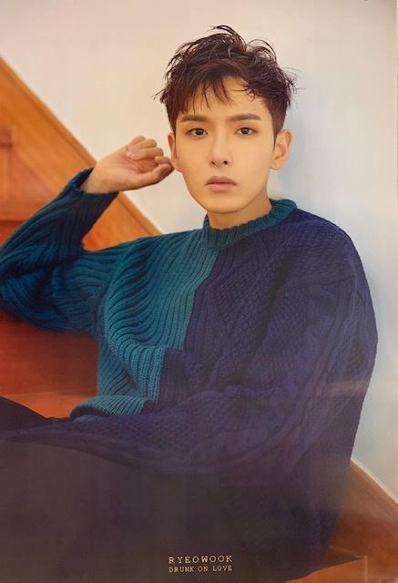 MUSIC PLAZA Poster Ryeowook | 김려욱 | Drunk on Love POSTER