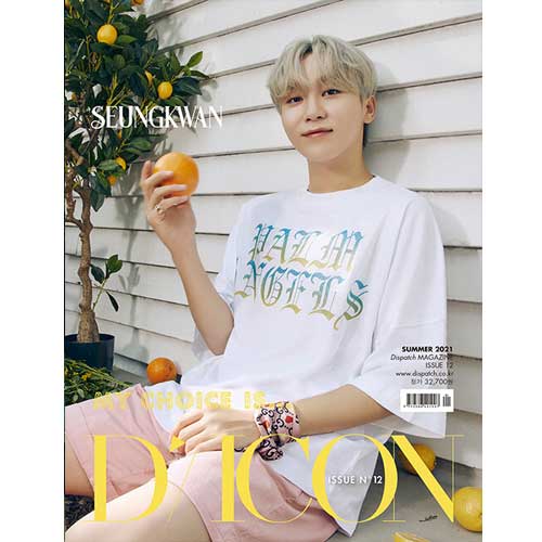 D-ICON VOL. 12 [ MY CHOICE IS SEVENTEEN ] - Music Plaza