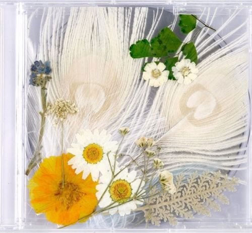 태양 | TAEYANG 3RD ALBUM [ WHITE NIGHT ]